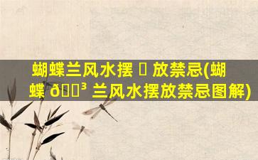 蝴蝶兰风水摆 ☘ 放禁忌(蝴蝶 🐳 兰风水摆放禁忌图解)